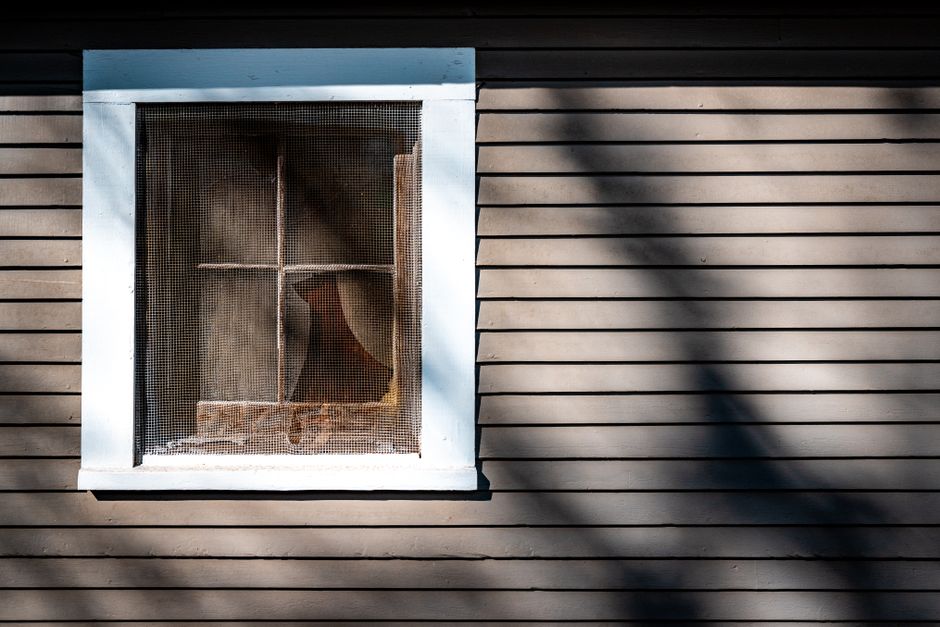 insektenschutz fenster