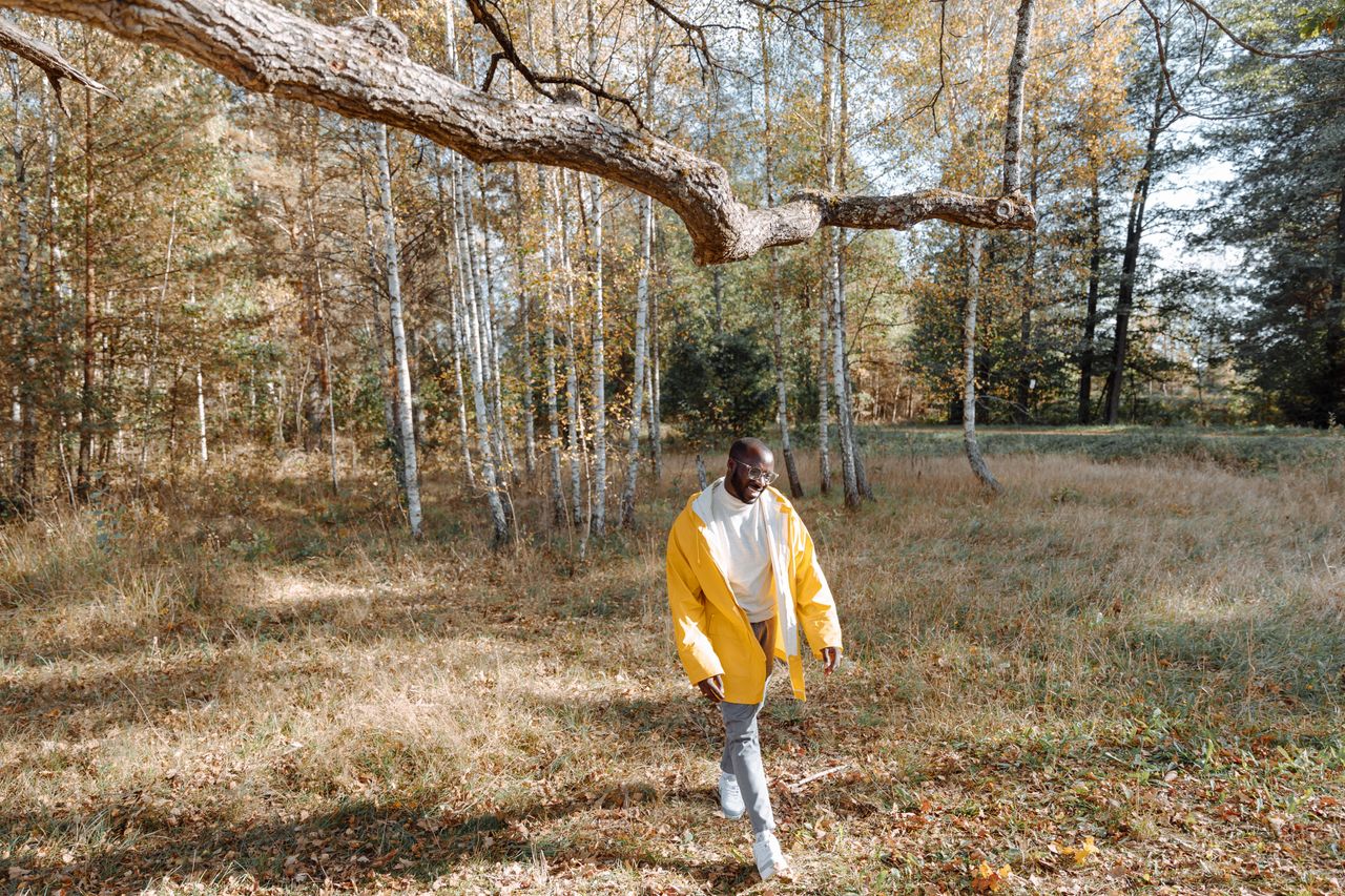 blähungen mittel gegen